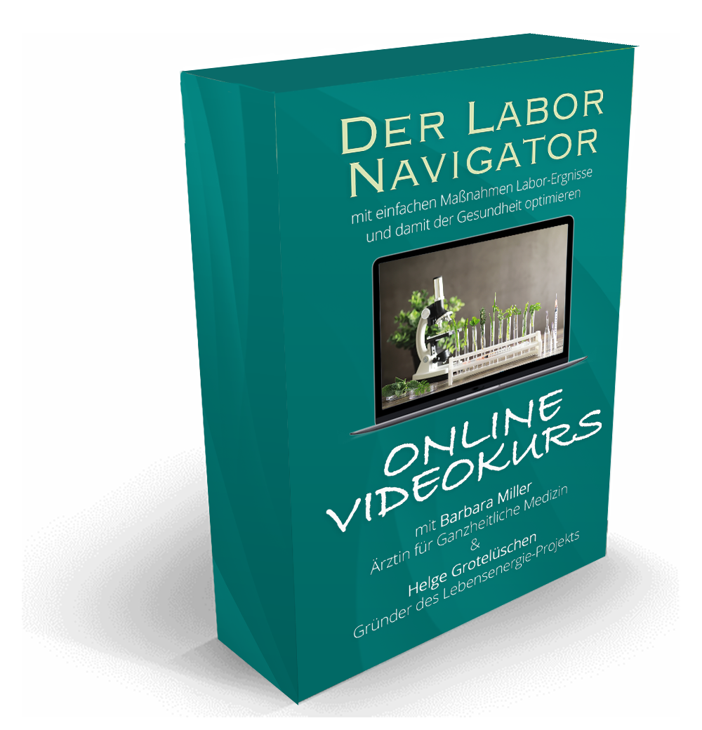 mockupKurs-Labornavigator