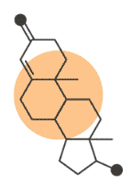 Hormonkongress-Logo-5