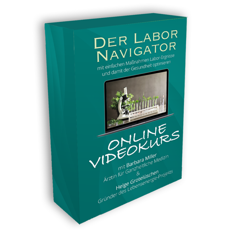 mockup-naviLaborKurs