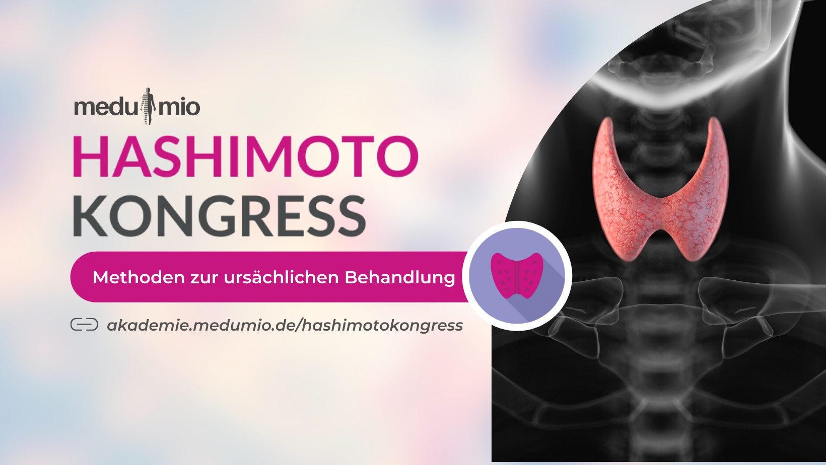 Hashimoto Kongress online & kostenlos
