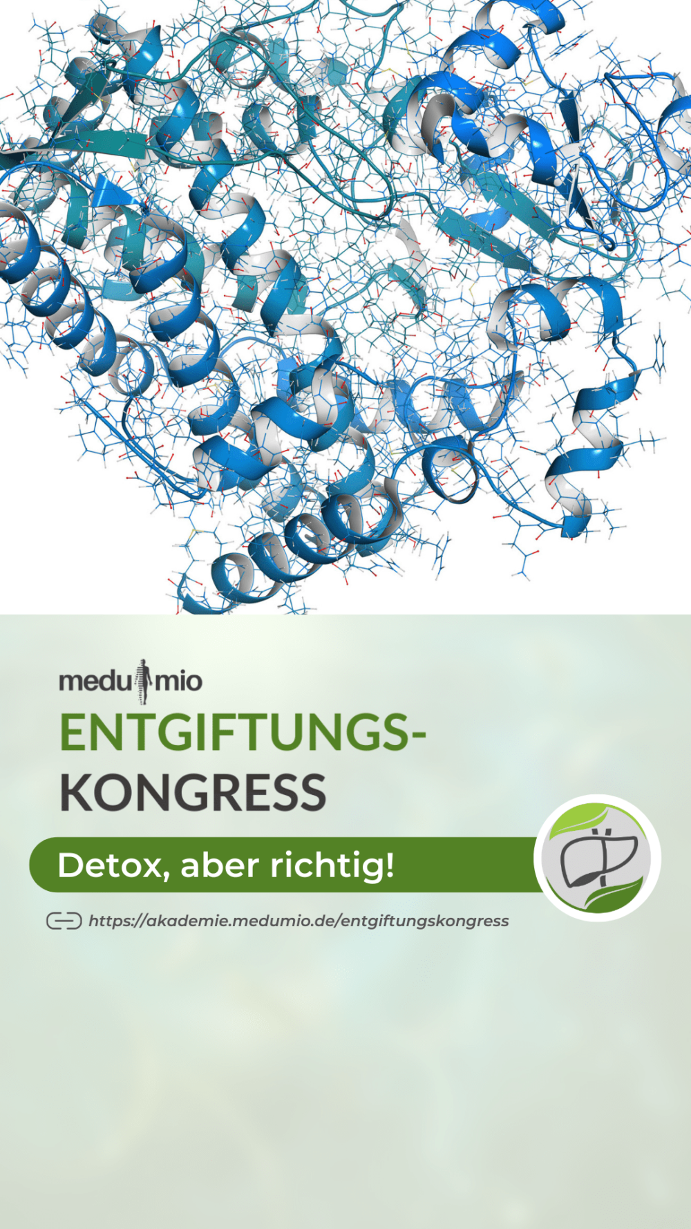 Medumio Entgiftungskongress