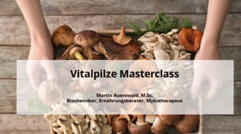 Martin Auerswald Vitalpilze Masterclass
