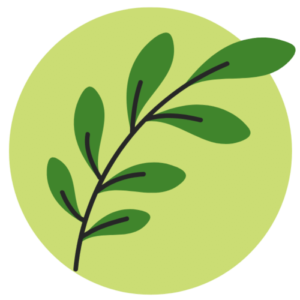 Kräuterheilkunde Logo Icon