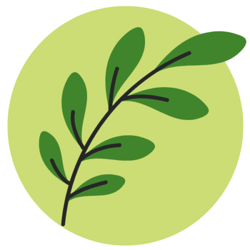 Kräuterheilkunde Logo Icon