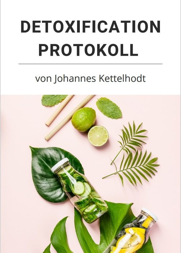 Detoxifikation Protokoll von Johannes Kettelhodt Sicher Selbst Entgiften Bonus