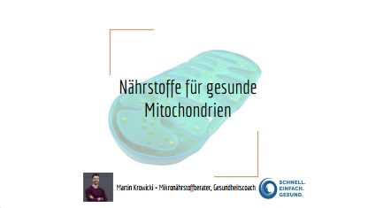 Martin Krowicki - Mitochondrien + Insulinresistenz
