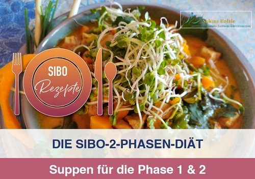 Sabine Hofele - Die SIBO-2-Phasen-Diät - Suppen für Phase 1 & 2