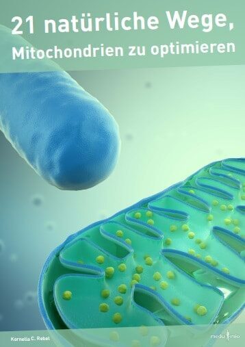 Kornelia Rebel - 21 natürliche Wege, Mitochondrien zu optimieren