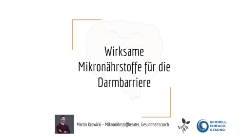 Wirksame Mikronährstoffe für die Darmbarriere_Martin Krowicki_Krebskongress_Bonus