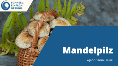 Martin Auerswald - Mandelpilz Portrait