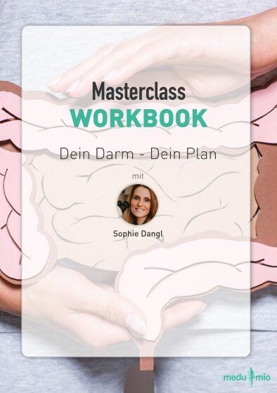 Masterclass Workbook Dein Darm - Dein Plan