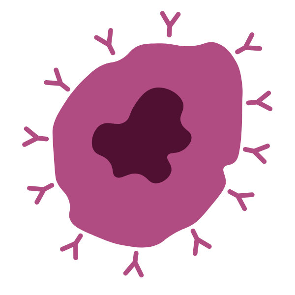 Autoimmunkongress Logo Icon