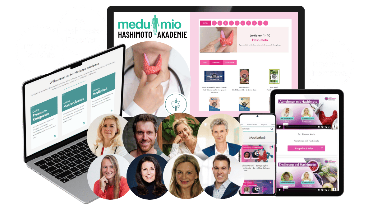 Hashimoto Akademie Mock up und Logo