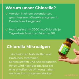 Chlorella Vulgaris