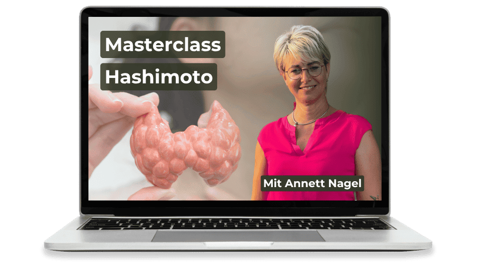Masterclass Hashimoto Mockup