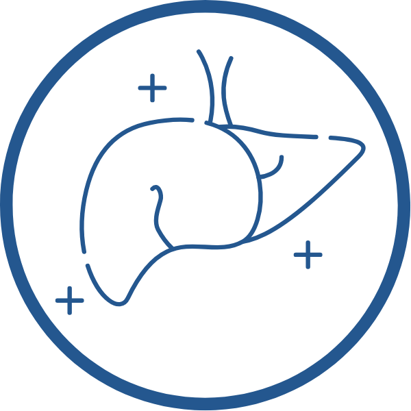 Medumio Entgiftung Kongress Icon
