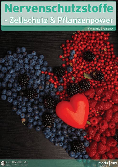 Sindy Grambow - Bonus Mini-Ebook Nervenschutzstoffe
