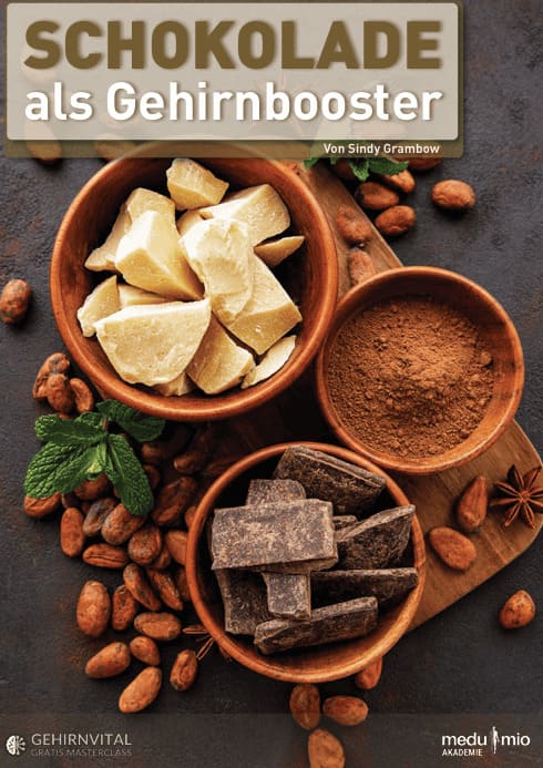Sindy Grambow - Bonus Mini-Ebook Schokolade als Gehirnbooster
