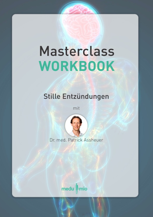 Masterclass Stille Entzündungen - Workbook