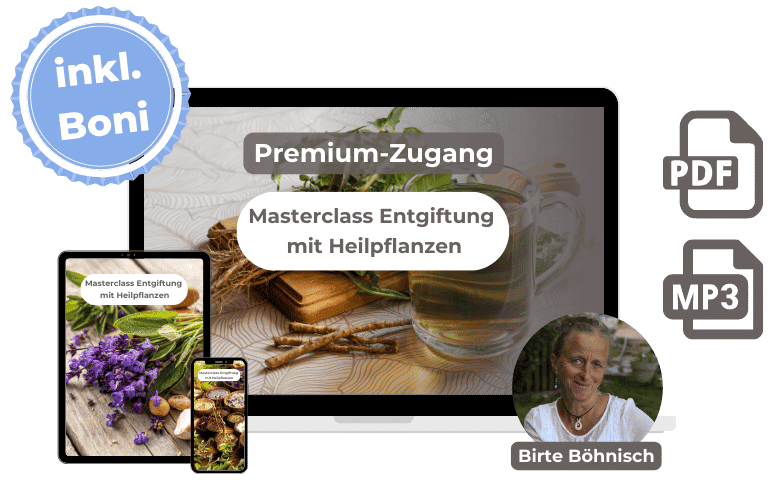 MC_Entgiftung mit Heilpflanzen Mockup