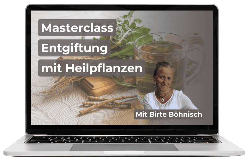 MC_Entgiftung mit Heilpflanzen Mockup