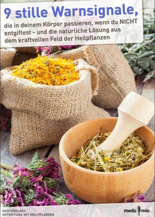 Masterclass Entgiftung mit Heilpflanzen Freebie Cover