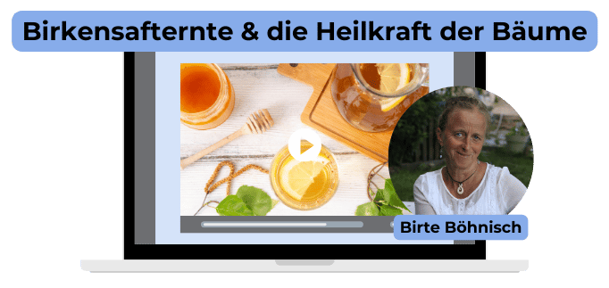 Seminar - Birkensafternte und die Heilkraft der Bäume