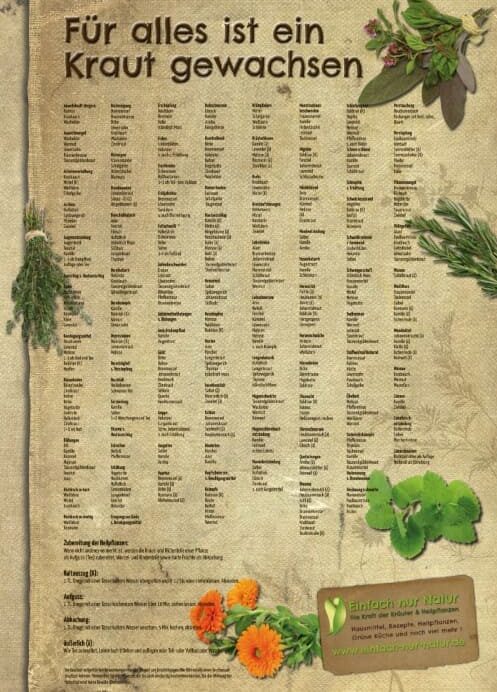 Birte Böhnisch - Plakat Für alles ist ein Kraut gewachsen