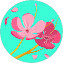 Sylvia Gilgen profile picture