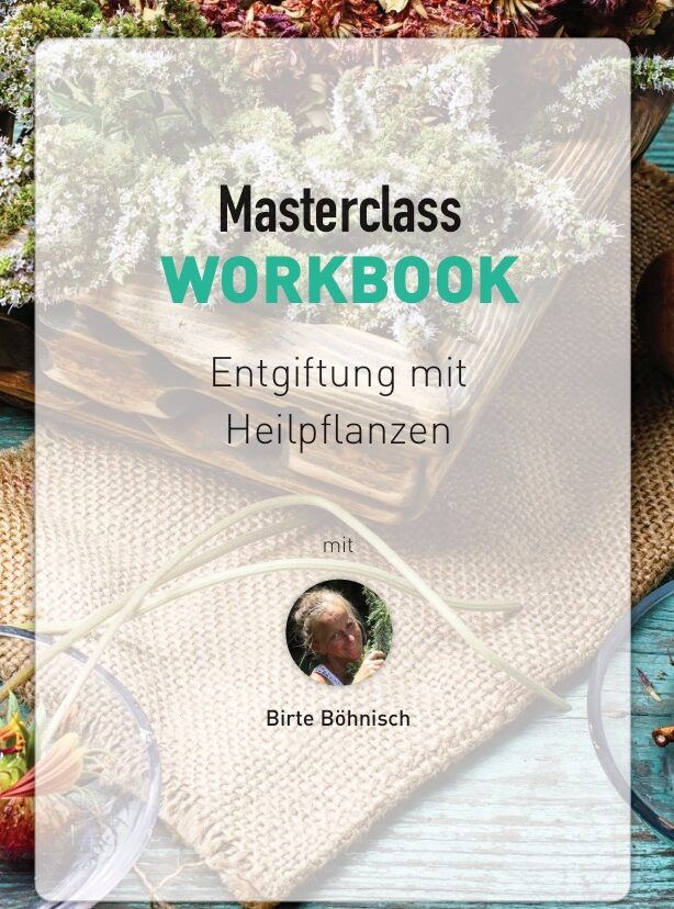 MC Entgiftung mit Heilfpflanzen Workbook Cover