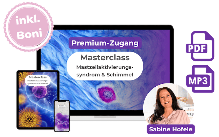 Mockup MC MCAS & Schimmel