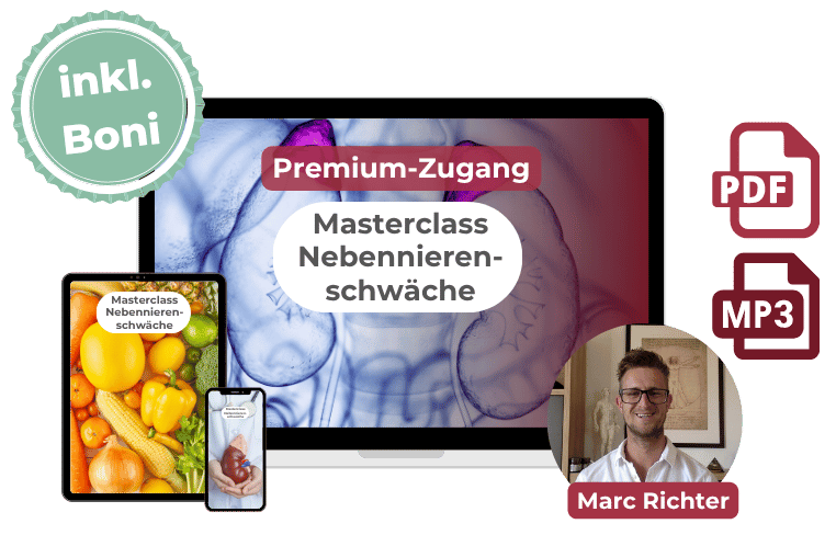 Mockup PZ Masterclass Nebennierenschwäche
