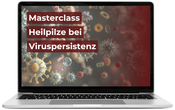 MC Heilpilze bei Viruspersistenz AIO Mockup