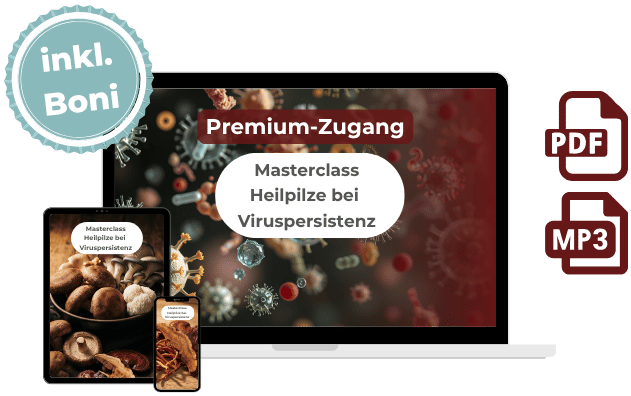 MC Heilpilze bei Viruspersistenz AIO Mockup (1)